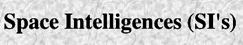 Intelligence is not in the space of the head of this crackpot web master 